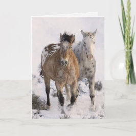 Dos tarjetas de felicitación de caballos Appaloosa