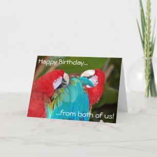 Dos tarjetas de felicitación de cumpleaños para lo
