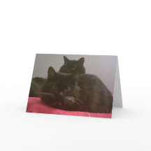 Dos tarjetas de felicitación para gatos negros