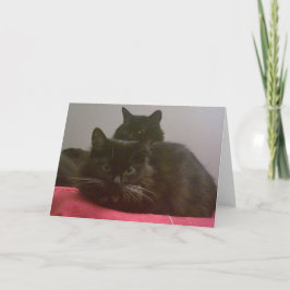 Dos tarjetas de felicitación para gatos negros