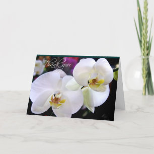 Dos tarjetas de nota de agradecimiento de Orquídea