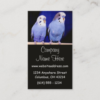 Dos tarjetas de visita de los Parakeets