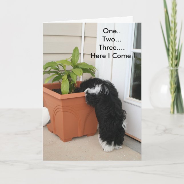 Dos tarjetas tres (Anverso)