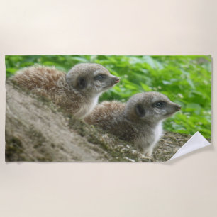Dos Toallas De Playa Cute Meerkats
