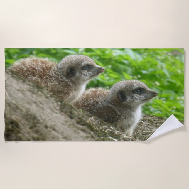 Dos Toallas De Playa Cute Meerkats (Anverso)
