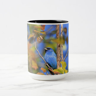 Dos tonalidades de taza con la foto de un racimo í