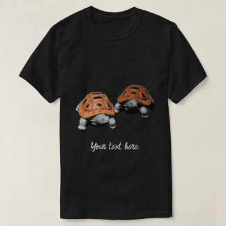 Dos Tortugas Caja Pintadas, Camisetas Personalizad