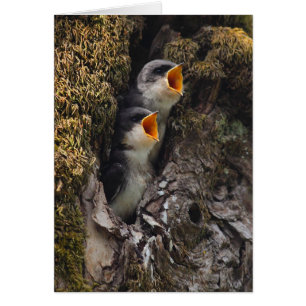 Dos tragos de árbol del bebé