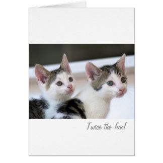 ¡Dos veces la diversión!