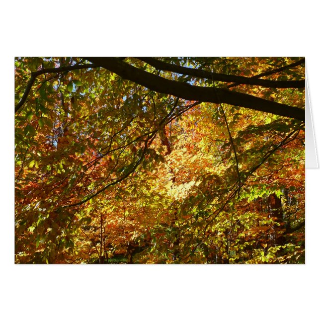 Doscubierta de Hojas de Otoño I Naturaleza de Otoñ (Anverso (Horizontal))