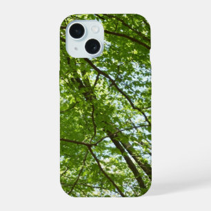 Doscubierta de Hojas de Primavera Escena de Natura