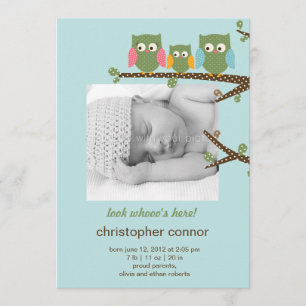 Dotty Owls Baby Boy Anuncio