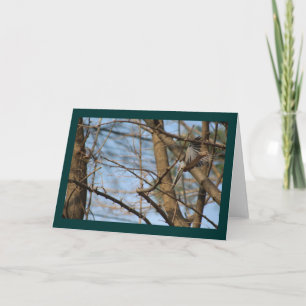 Dove de luto en tarjeta de saludo de vuelo