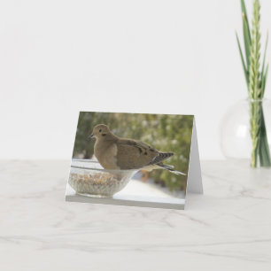 Dove y Bowl - Tarjeta de saludo en blanco