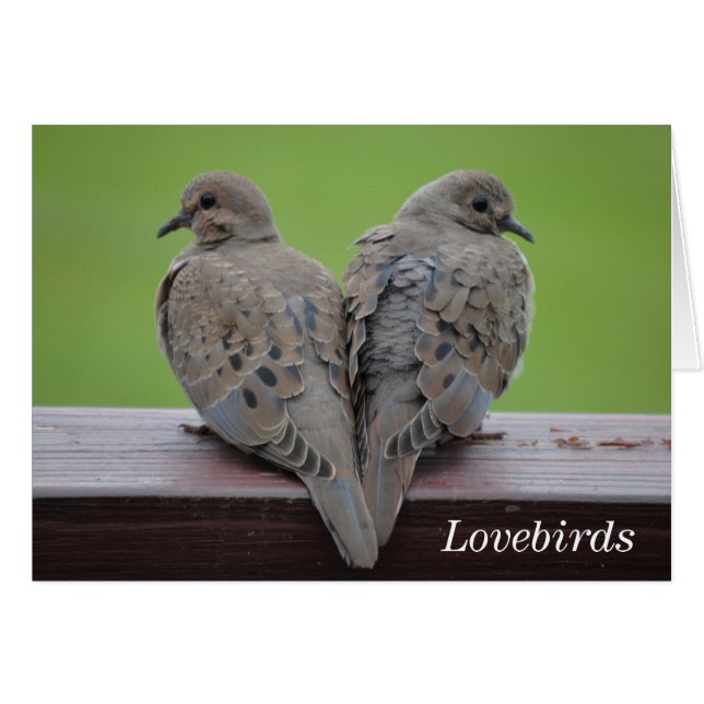 Doves de luto (Anverso (Horizontal))