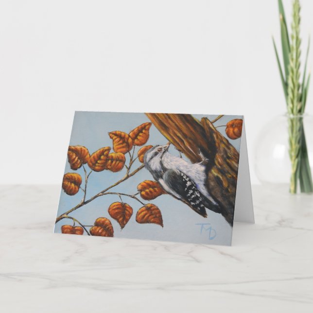 Downy Woodpecker - Tarjeta de saludo en blanco (Anverso)