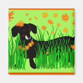 Doxie de verano, imán