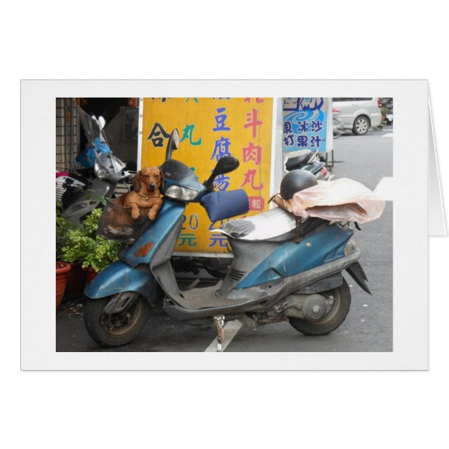 Doxie en tarjeta de cesta (Anverso (Horizontal))