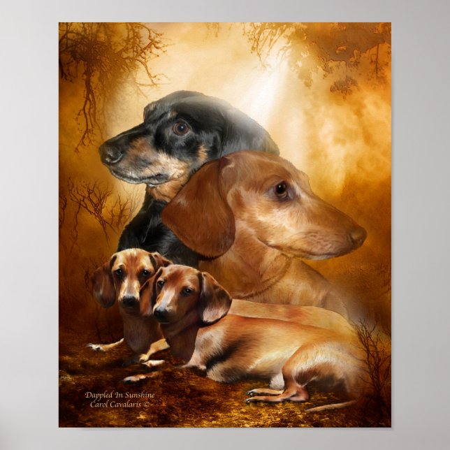 Doxies - Poster/Impresión De Arte Sunshine (Frente)