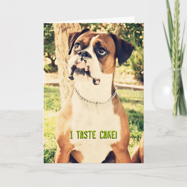 ¡Doy Gusto A La Pastel! Tarjeta Boxer de Cumpleaño (Anverso)