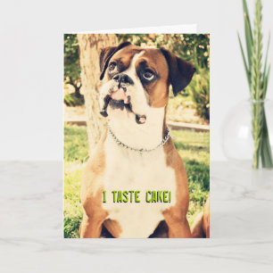 ¡Doy Gusto A La Pastel! Tarjeta Boxer de Cumpleaño