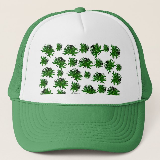 Dracaena verde hojas de fern, Gorra de camioneros (Anverso)