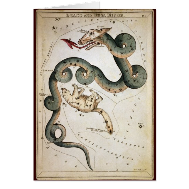 Draco y menor de Ursa (Frente)