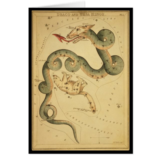 Draco y Ursa Menor (Frente)