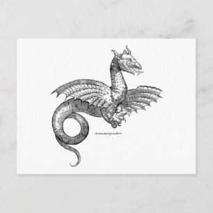 Dragón alado o postal Wyvern