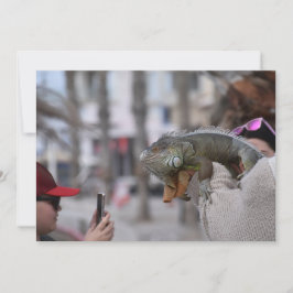 Dragón con barba en el paseo marítimo de la postal