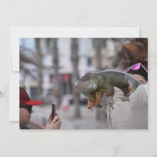 Dragón con barba en el paseo marítimo de la postal