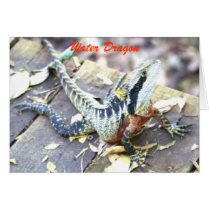 Dragón de agua