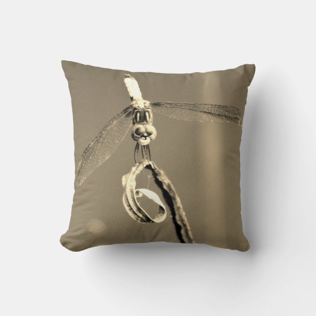 Dragón de almohada de tono sepia, (Anverso)