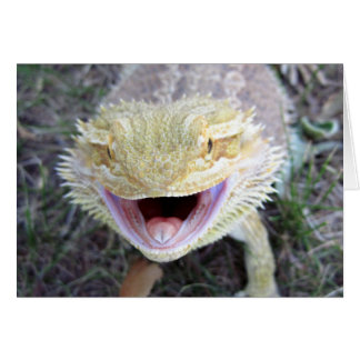 Dragón de barba súper feliz