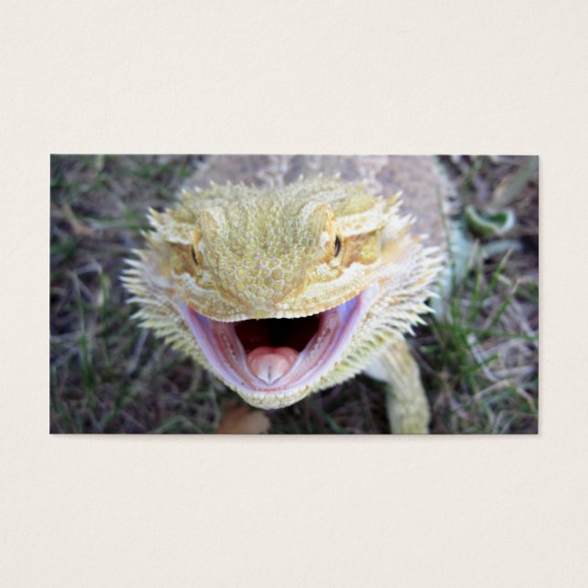Dragón de barba súper feliz (Frente)