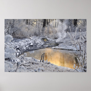 Dragón de invierno con póster