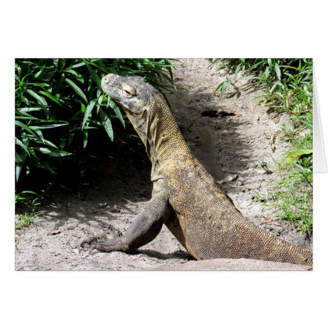 Dragón de Komodo (0780) (Anverso (Horizontal))