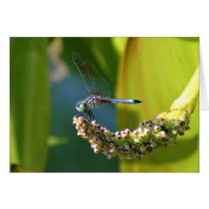 Dragón de ojos verde azulados