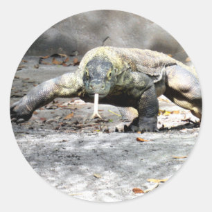 Dragón Komodo en los Pegatinas de la caza