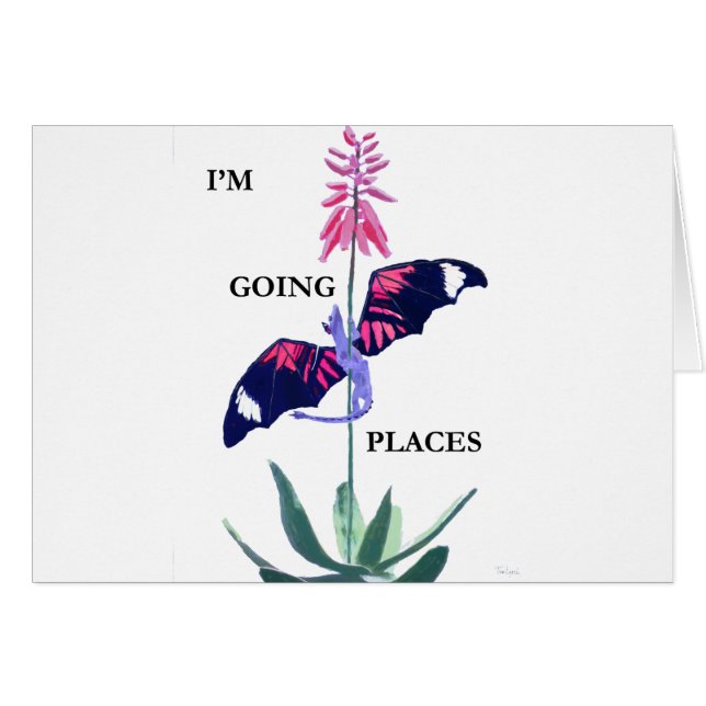 dragón y cactus (Anverso (Horizontal))