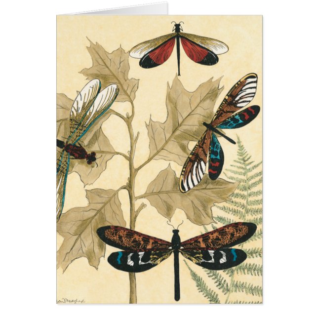 Dragonflies coloridas flotando sobre hojas (Frente)