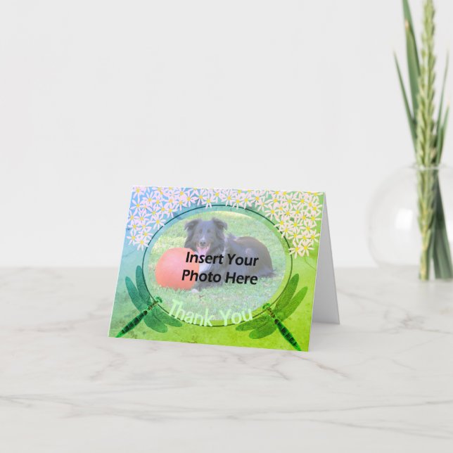 Dragonflies Daisies Gracias Tarjeta Fotográfica (Anverso)