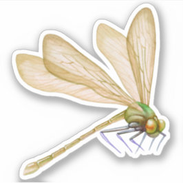 Dragonflies Pegatina