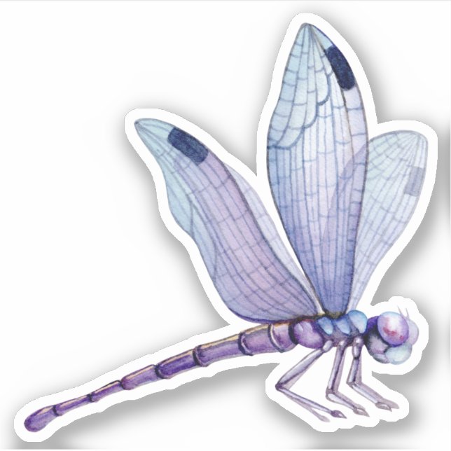 Dragonflies Pegatina (Anverso)