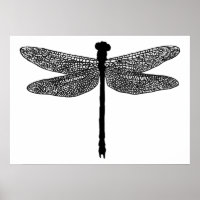 dragonfly Bug Naturaleza de los insectos Arte de s