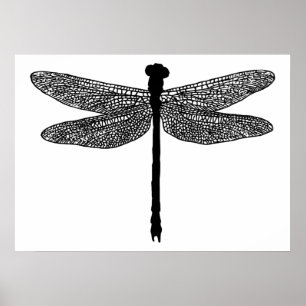 dragonfly Bug Naturaleza de los insectos Arte de s