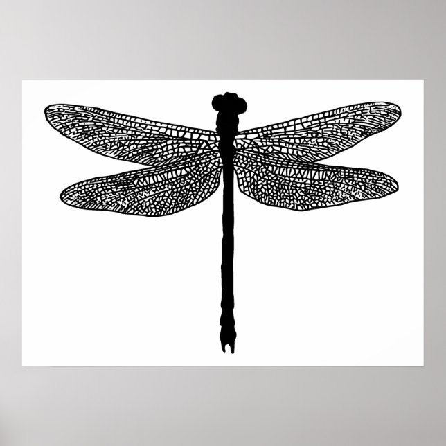 dragonfly Bug Naturaleza de los insectos Arte de s (Frente)