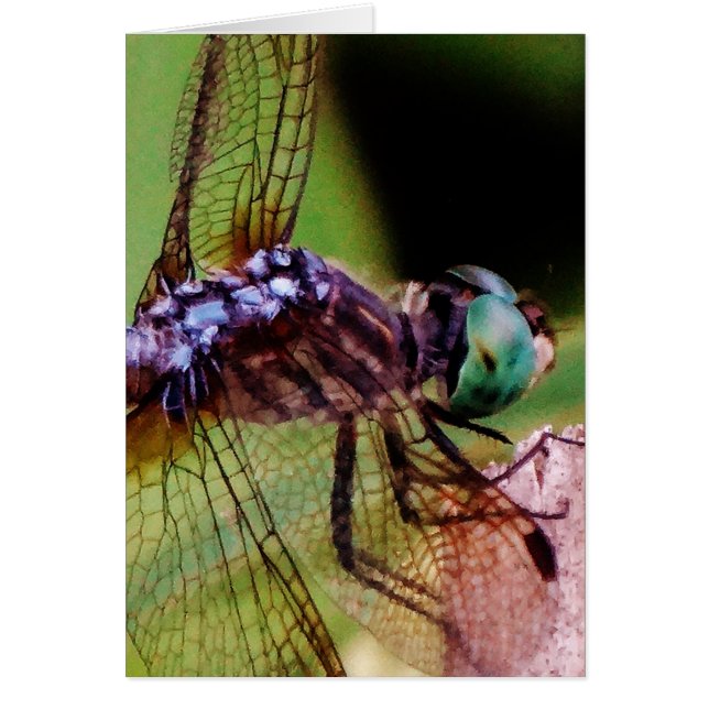 Dragonfly con flores blancas (Frente)