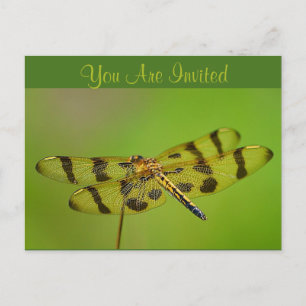 Dragonfly de invitación