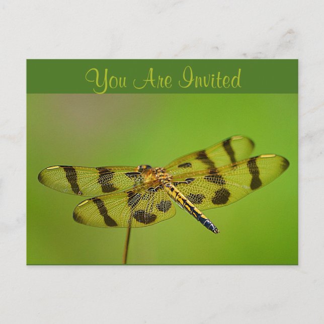 Dragonfly de invitación (Anverso)